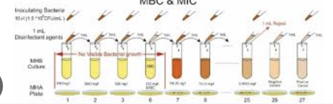 <p><span>how do you identify the MIC in broth dilution test?</span></p>