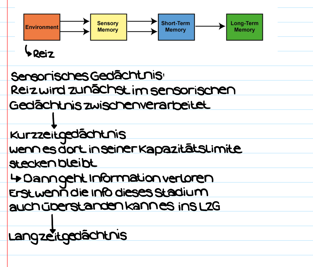 <p>Unterscheidung verschiedener Systeme:</p><ul><li><p><span style="background-color: rgb(204, 193, 217);"><strong>Sensorisches Gedächtnis</strong></span></p></li><li><p><span style="background-color: rgb(204, 193, 217);"><strong>Kurzzeitgedächtnis</strong></span></p></li><li><p><span style="background-color: rgb(204, 193, 217);"><strong>Langzeitgedächtnis</strong></span></p></li></ul><p></p>