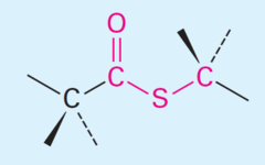 <p>carbonyl group directly attached to sulfur atom bonded to carbon</p>