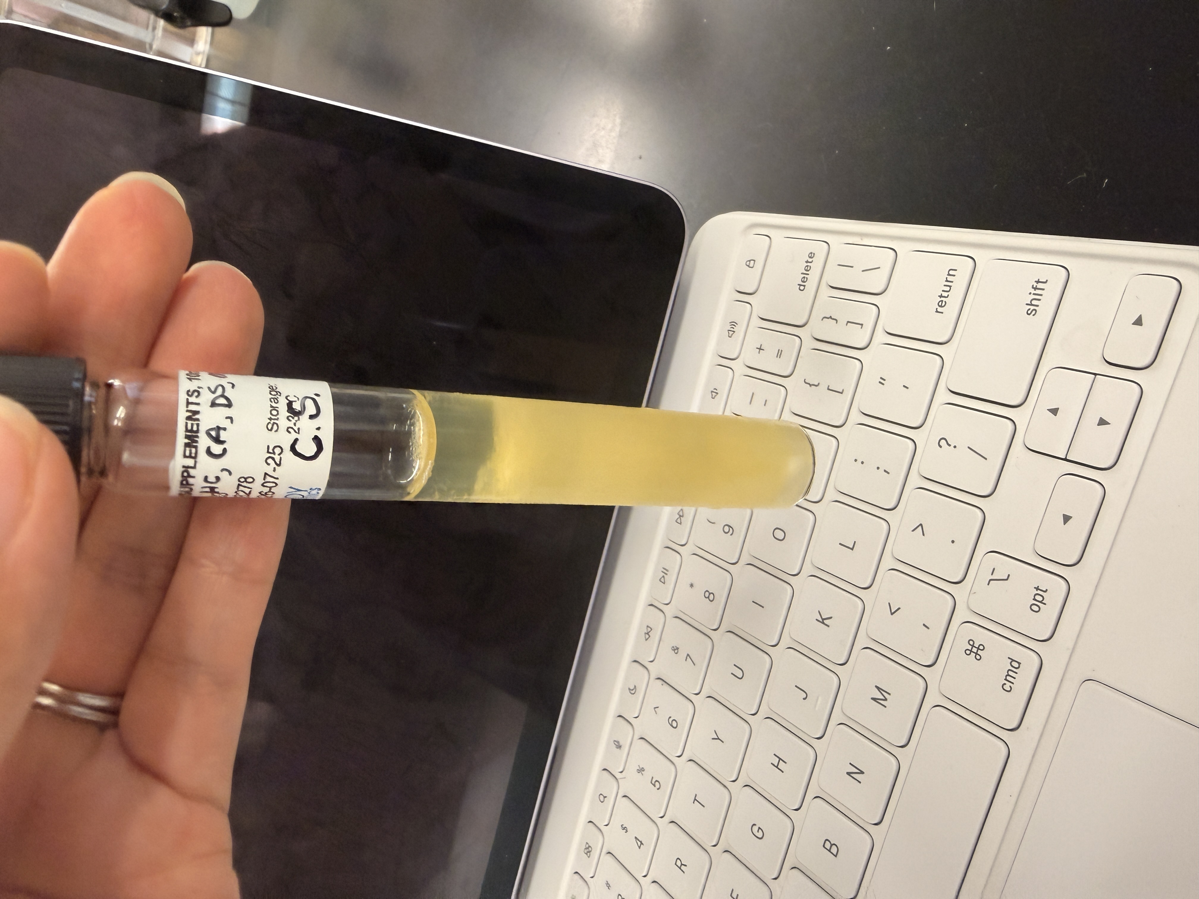 <p>C. Sporogenes</p>
