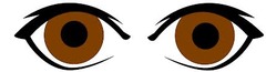<p>brown eyes</p>