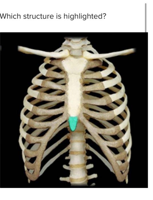 <p>a bony projection</p>