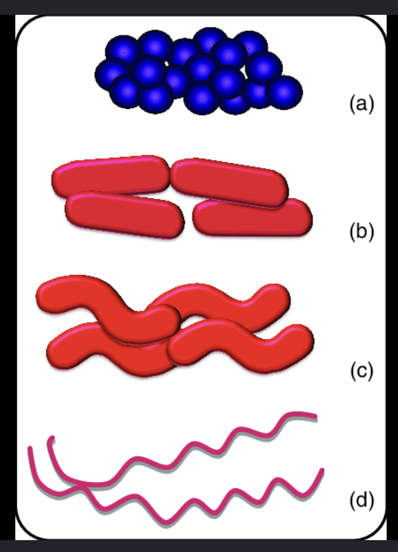 <p>State the shape for each of the structure in the diagram</p>