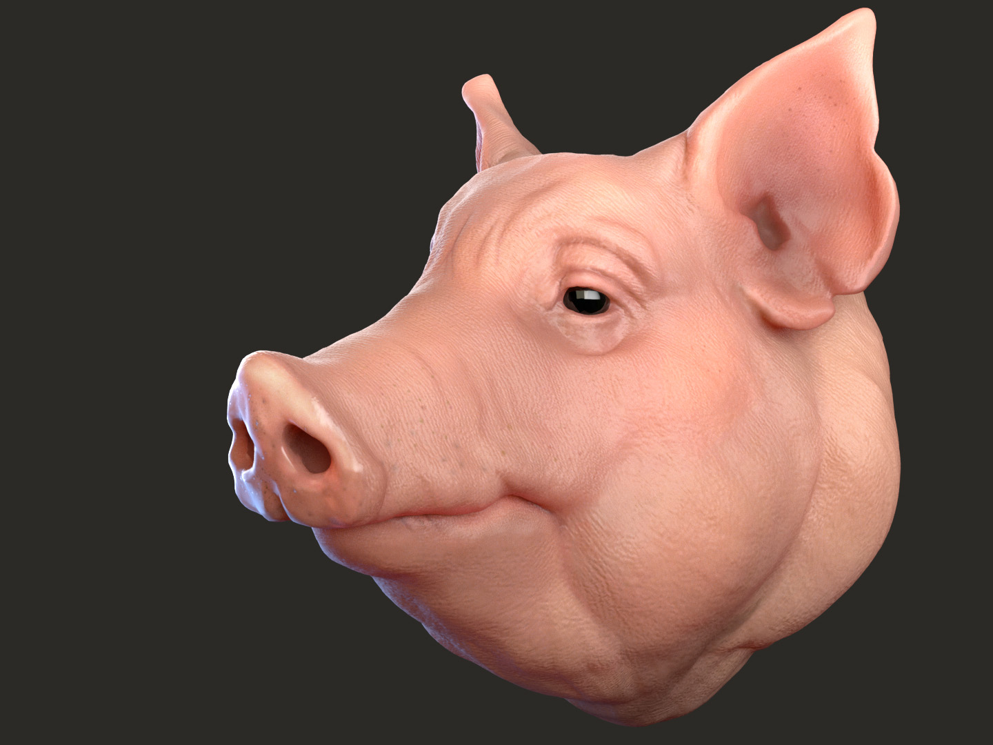 <ul><li><p>David Cameron</p></li><li><p>George Osborne</p></li></ul><p></p>