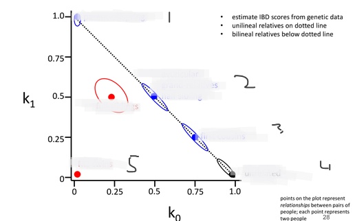 <p>Fill out the IBD plot at the circles </p>