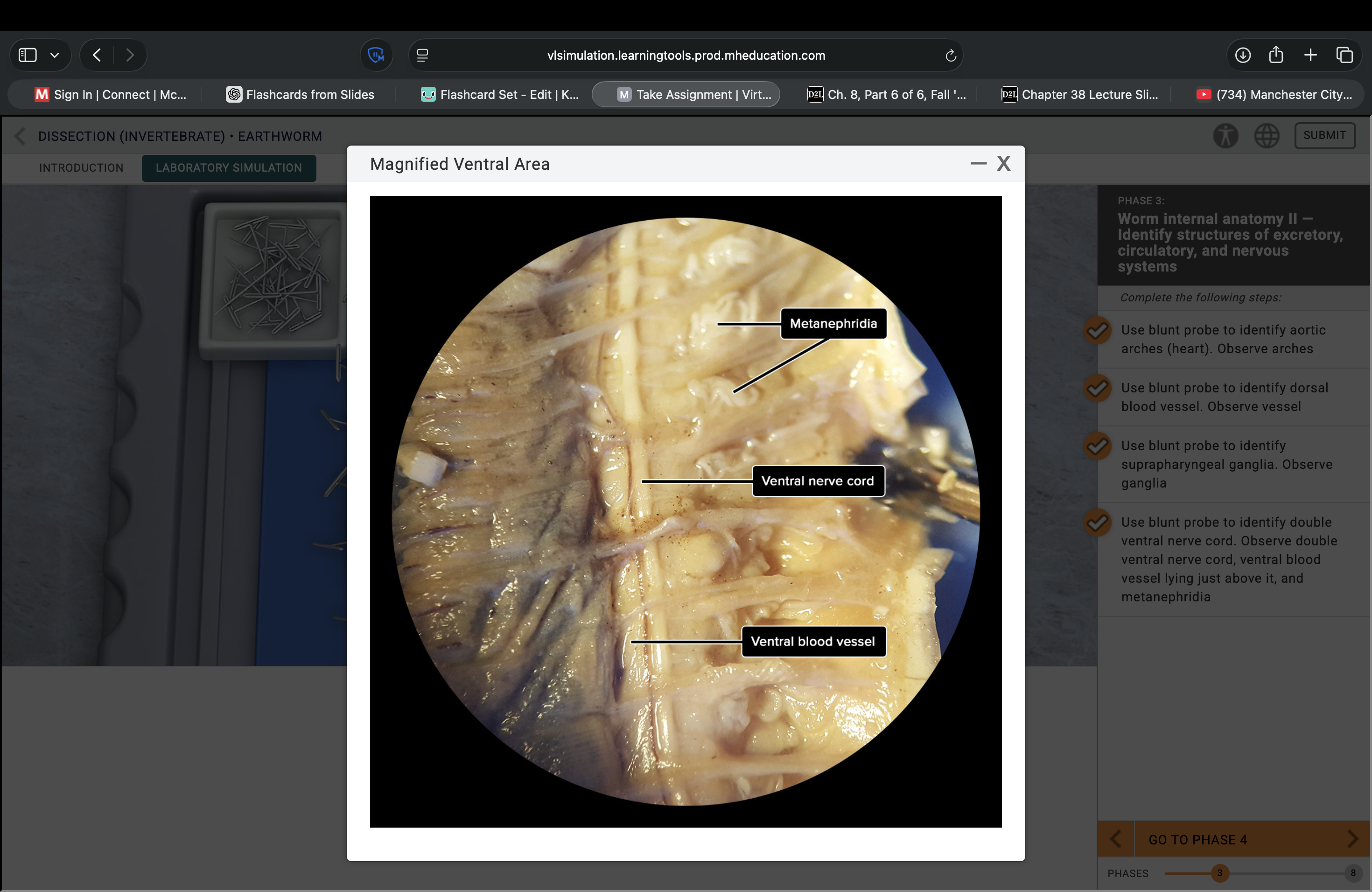 <p>What structure is this pointing to?</p>