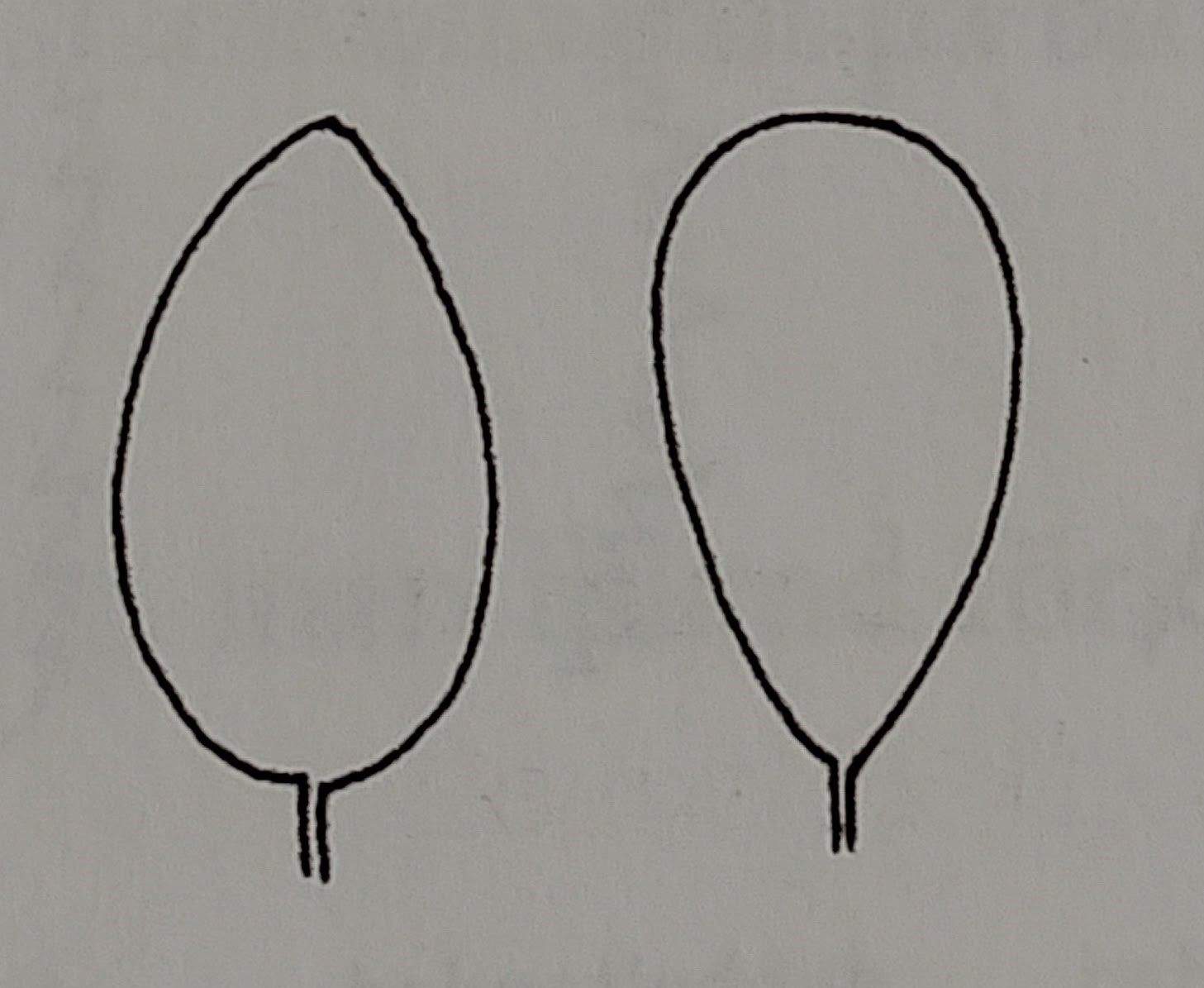 <p></p>