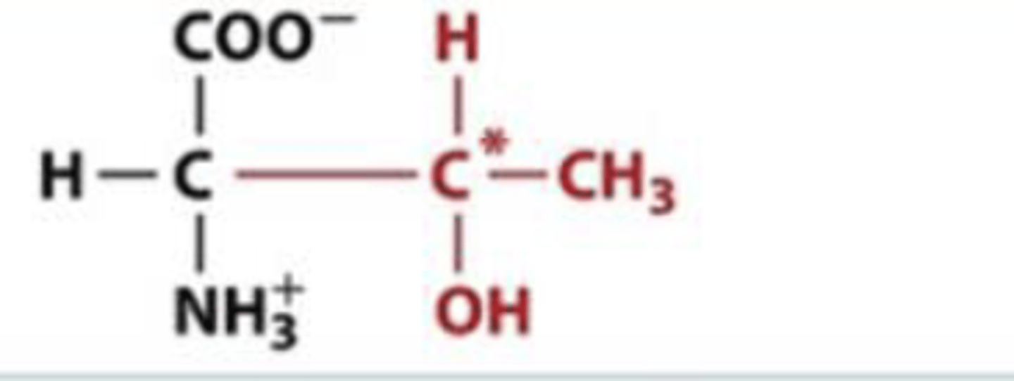 <p>Thr, T, polar</p>