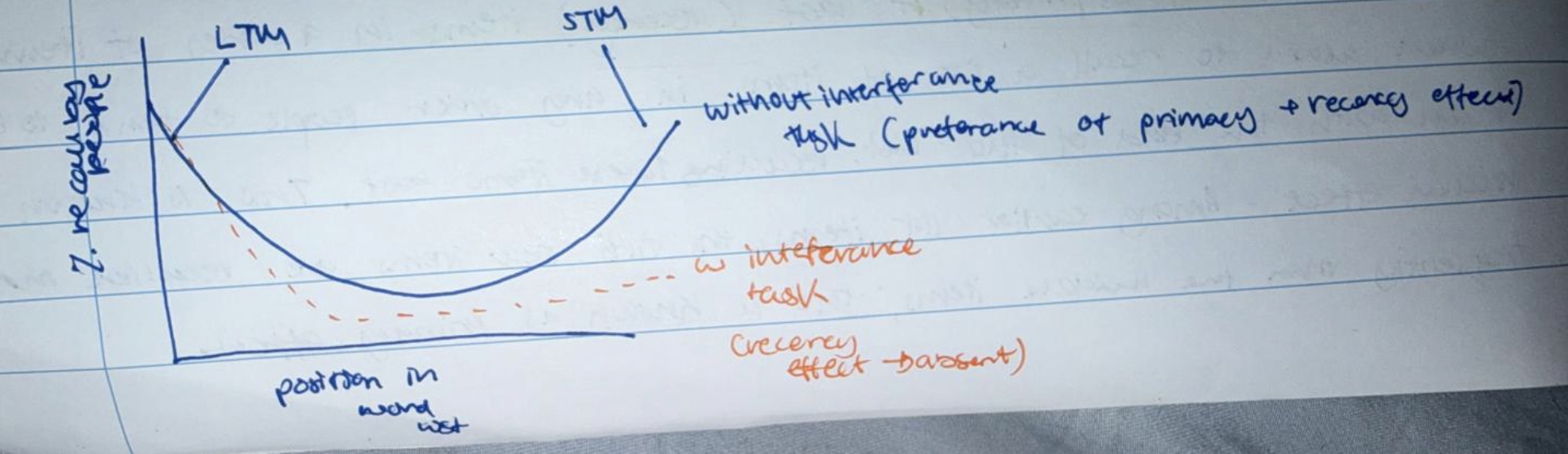 <ul><li><p>Delaying recall by 30 seconds destroys the recency effect causing recall of later words to be similar to the ones in the middle, however it does not influence primacy effect</p></li><li><p>Suggests that <strong><u>later words</u></strong> were held in STM → were l<strong><u>ost due to interference</u></strong> whereas the earlier words had been passed to LTM</p></li></ul><p></p>