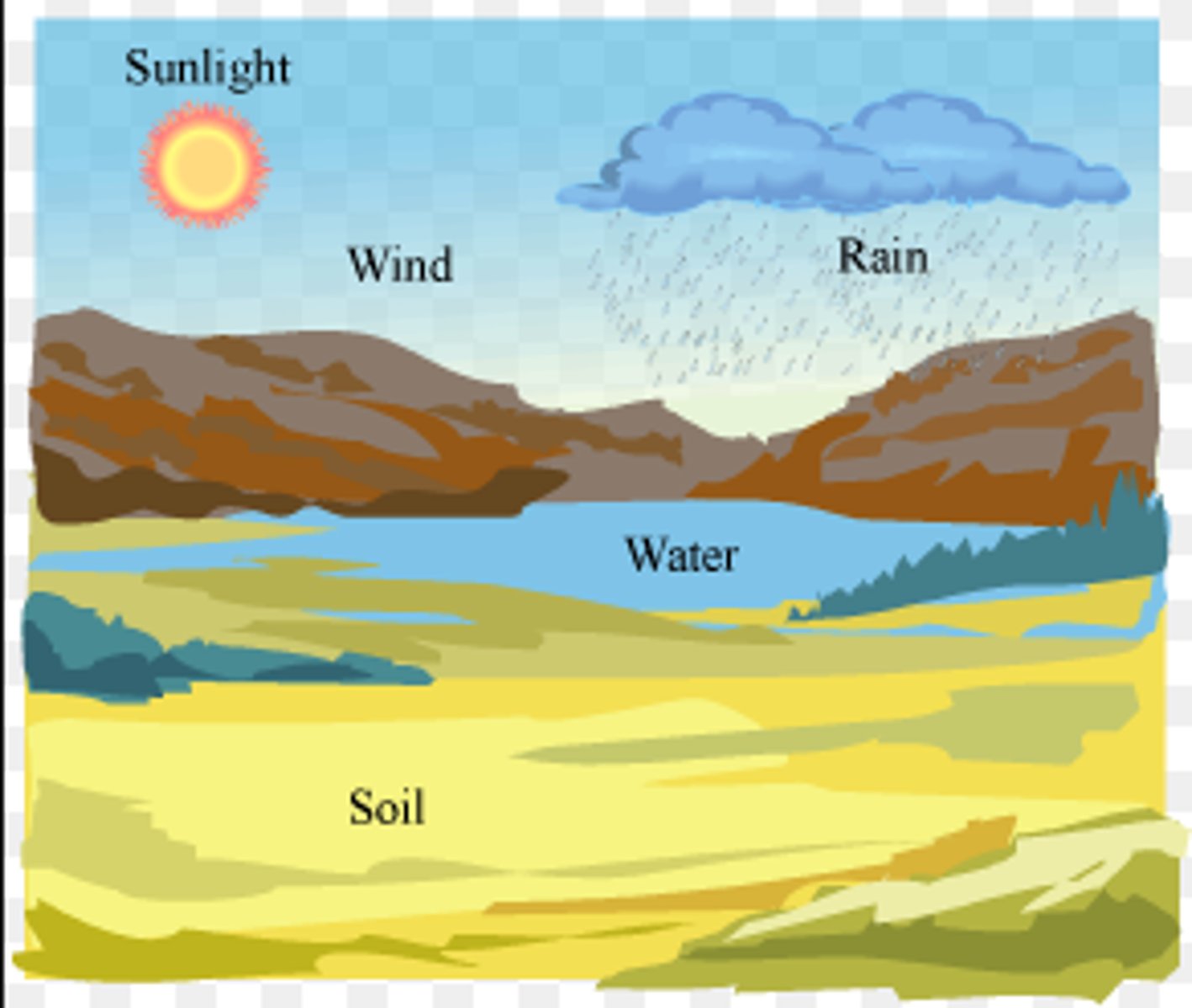 <p>any nonliving factor in an organism's environment</p><p>ex: temperature, water, sunlight, soil, oxygen, and carbon dioxide levels, pH levels</p>