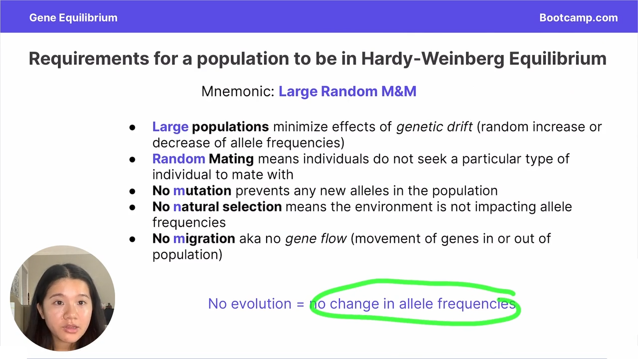 <p>Large random m&amp;m</p><p></p><p>Large population</p><p>random mating</p><p>no mutation</p><p>no natural selection</p><p>no migration </p>