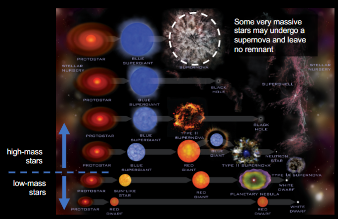 <ul><li><p>Supernova and leave no remnant</p></li><li><p>Failed supernova and collapse into black hole (star vanish)</p></li><li><p>Supernova and then collapse into black hole</p></li><li><p>Supernova and leave neutron star</p></li></ul><p></p>