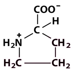<p>Give the symbol, abbreviation, Name of this amino acid</p>