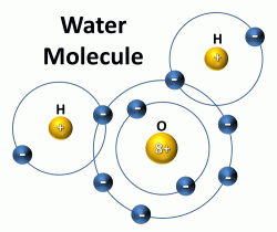 <p>Oxygen would like to have 8 valence electrons while hydrogen would like to have 2. </p><ul><li><p>even though oxygen and hydrogen are sharing electrons in a covalent bond, oxygen has a higher electronegativity (pull for electrons) than hydrogen. </p></li><li><p>- this causes the oxygen atom in water to have a partial negative charge while the hydrogen atoms in water have a partial positive charge. </p></li><li><p>THIS IS POLARITY</p></li></ul><p></p>