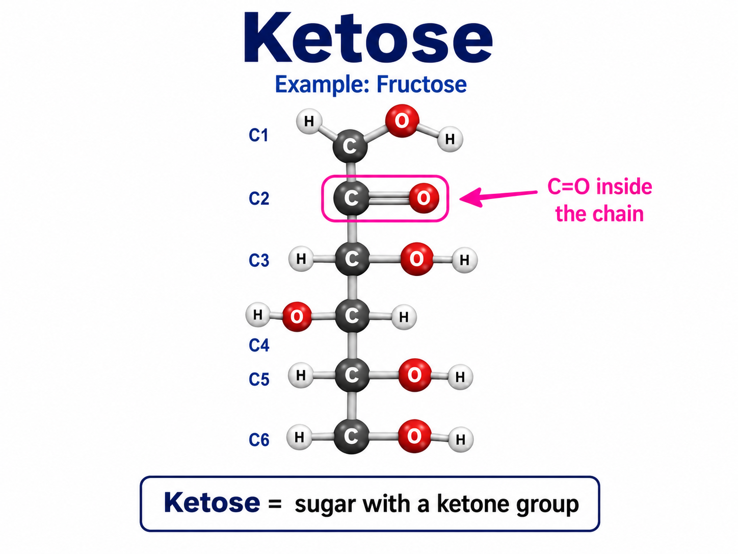 <p>A sugar with a <strong>ketone group</strong>.<br><strong>Easy clue:</strong> <strong>C=O in the middle/inside</strong>.</p><p>The <strong>O stands for oxygen</strong>. <span data-name="check_mark_button" data-type="emoji">✅</span></p><p>So in <strong>C=O</strong>:</p><ul><li><p><strong>C = carbon</strong></p></li><li><p><strong>O = oxygen</strong></p></li><li><p><strong>=</strong> means a <strong>double bond</strong></p></li></ul><p>So <strong>C=O = carbon double-bonded to oxygen</strong>.</p>