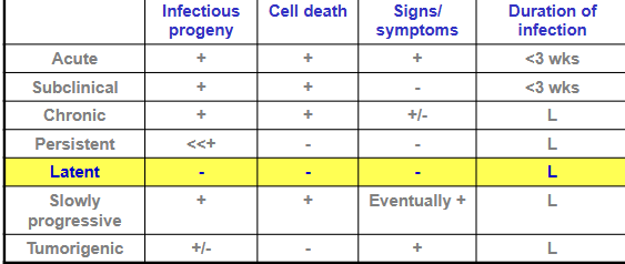 <ul><li><p><span style="background-color: transparent;"><strong>By definition, latent infections start and finish as acute infections</strong></span></p></li><li><p><span style="background-color: transparent;"><strong>Probably the best adapted of all to coexist with their host</strong></span></p></li><li><p><span style="background-color: transparent;"><strong>Herpesviruses…</strong></span></p></li><li><p><span style="background-color: transparent;">stay down and not do anything. we cannot find any particles, no damage, or symptoms. think of shingles or herpes, some people show it and show people dont show it. it only shows when activated.</span></p><p></p></li></ul><p>infectious progeny: - (virus doesnt produces infectious particles)</p><p>cell death: - (infected cells do not die)</p><p>signs/symptoms: - (symptoms are NOT present)</p><p>duration of infection: Long lasting</p>
