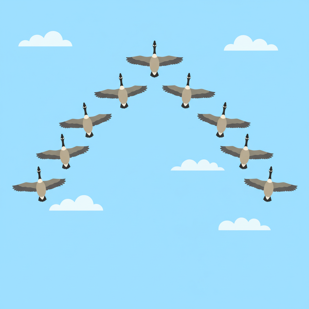 <p>migration</p>