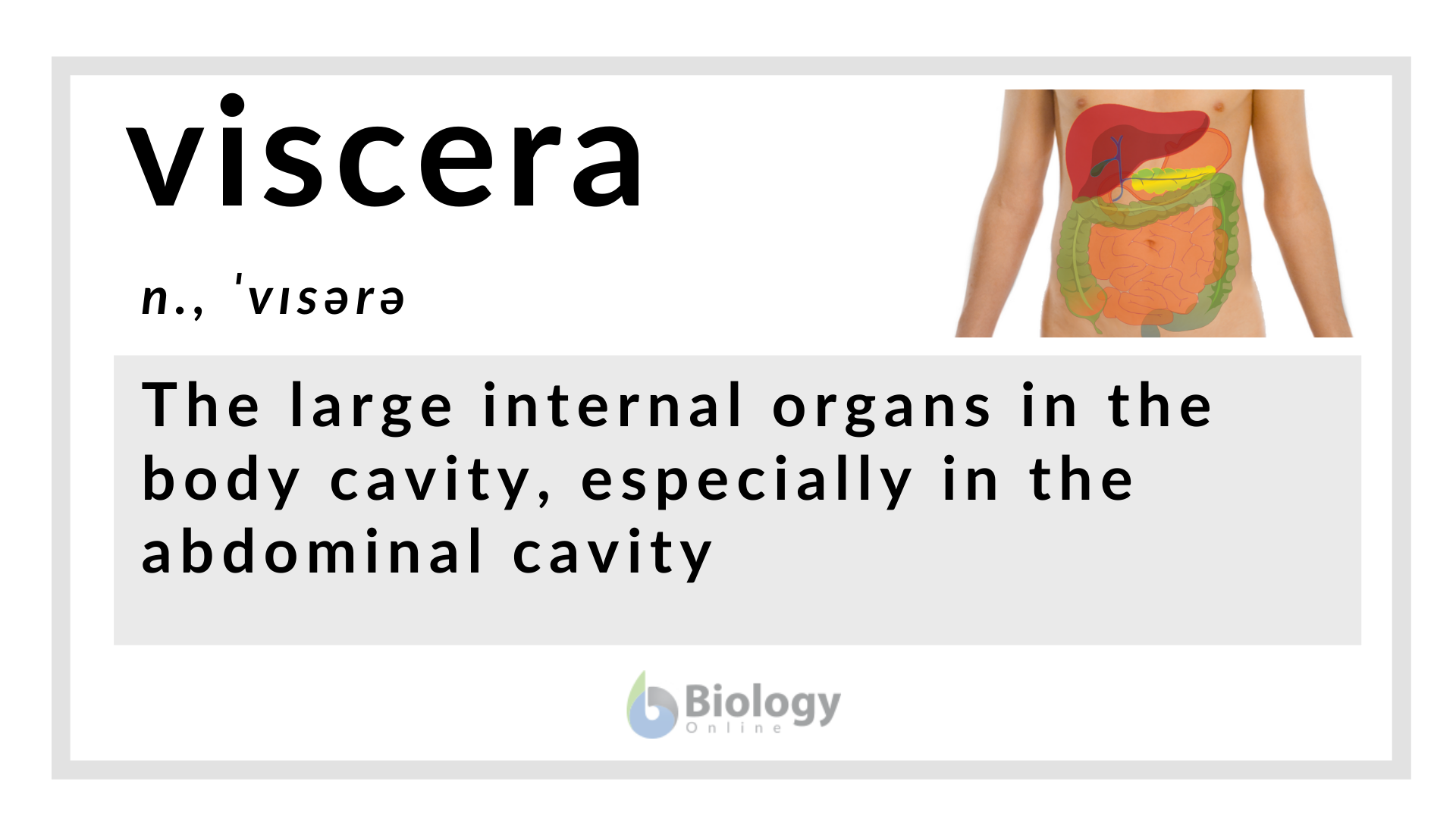 <p>vicera</p>
