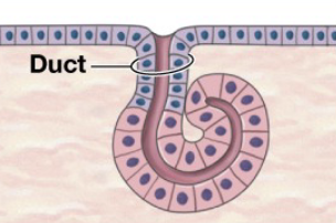 <p>What is this?</p>