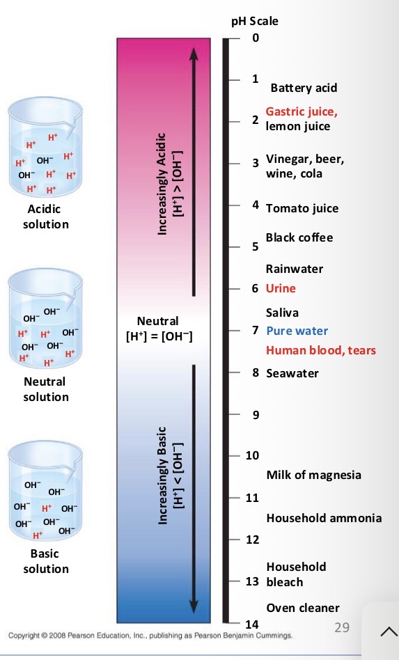 <p>What do biologist use the pH scale for?</p>