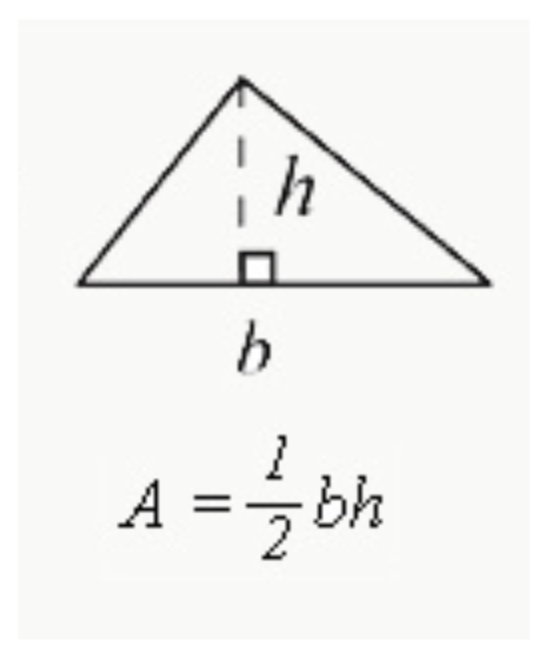 <p>A=1/2bh</p><ul><li><p>multiply the base (b) by the height (h) and divide by 2</p></li><li><p>note: angles in triangles always add up to 180 degrees</p></li></ul><p></p>