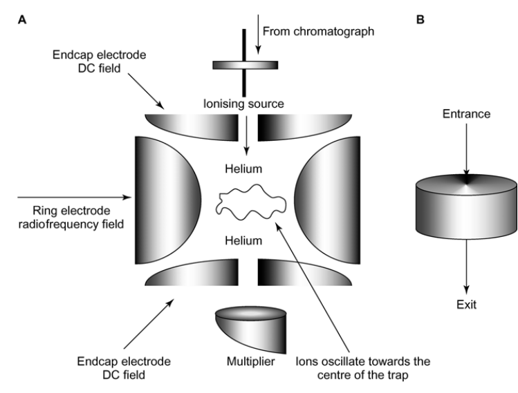 <p>What is this Mass Spec?</p>