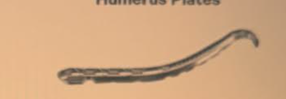 <p>What plate is this</p>