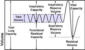 <ul><li><p>volume of air that remains in the lungs after forced expiration </p></li><li><p>average male: 1200 mL</p></li><li><p>average female: 1100 mL </p></li></ul><p></p>