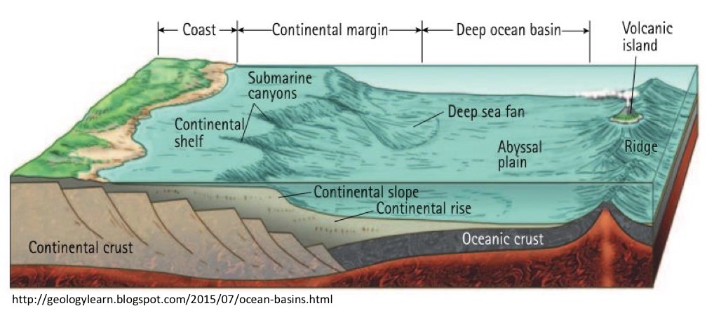 <p>Submerged beneath water edges of continents</p>