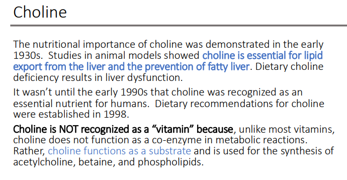 <ol><li><p>Acetylcholine</p></li><li><p>Betaine</p></li><li><p>Phospholipids</p></li></ol><p></p>