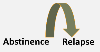 <p>abstinence and relapse</p>