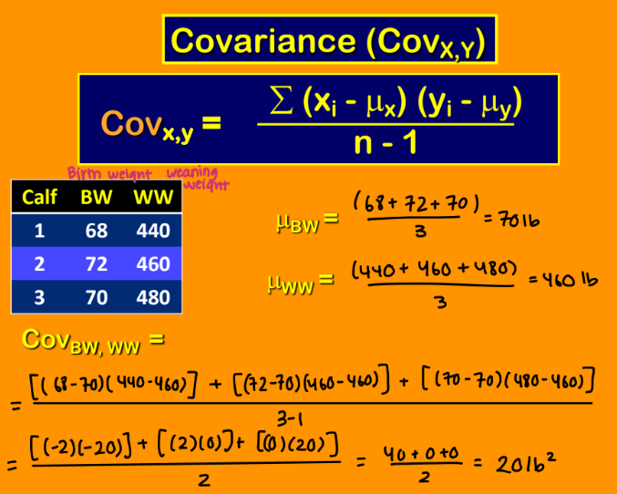 <p>Covariance calculation example </p>