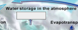 <p>The Water Cycle: Name this step</p>