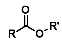 <p>Ester (if cyclic: Lactone)</p>