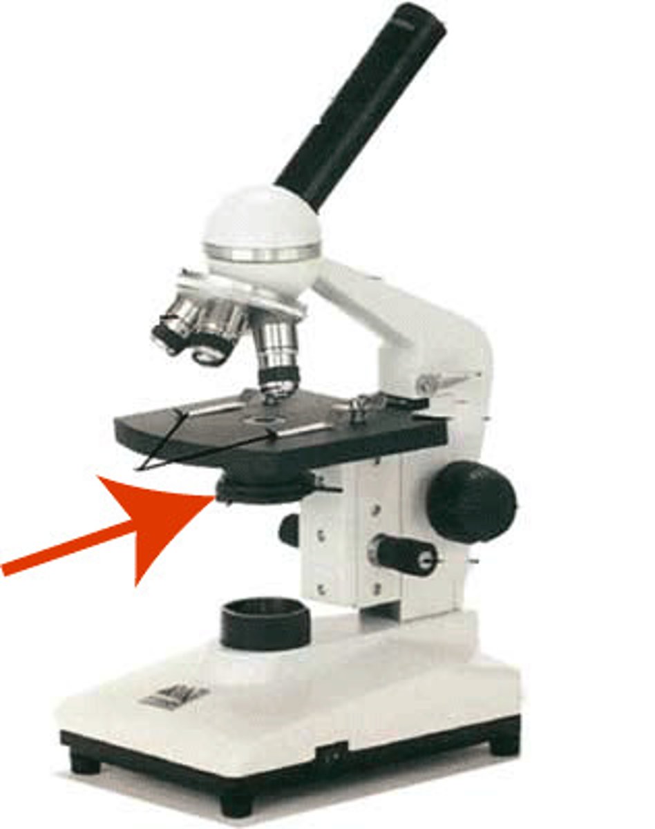 <p>Regulates the amount of light on the specimen</p>