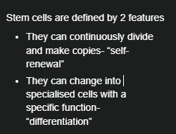 <p>Stem cells are defined by two key features self-renewal and differentiation</p>