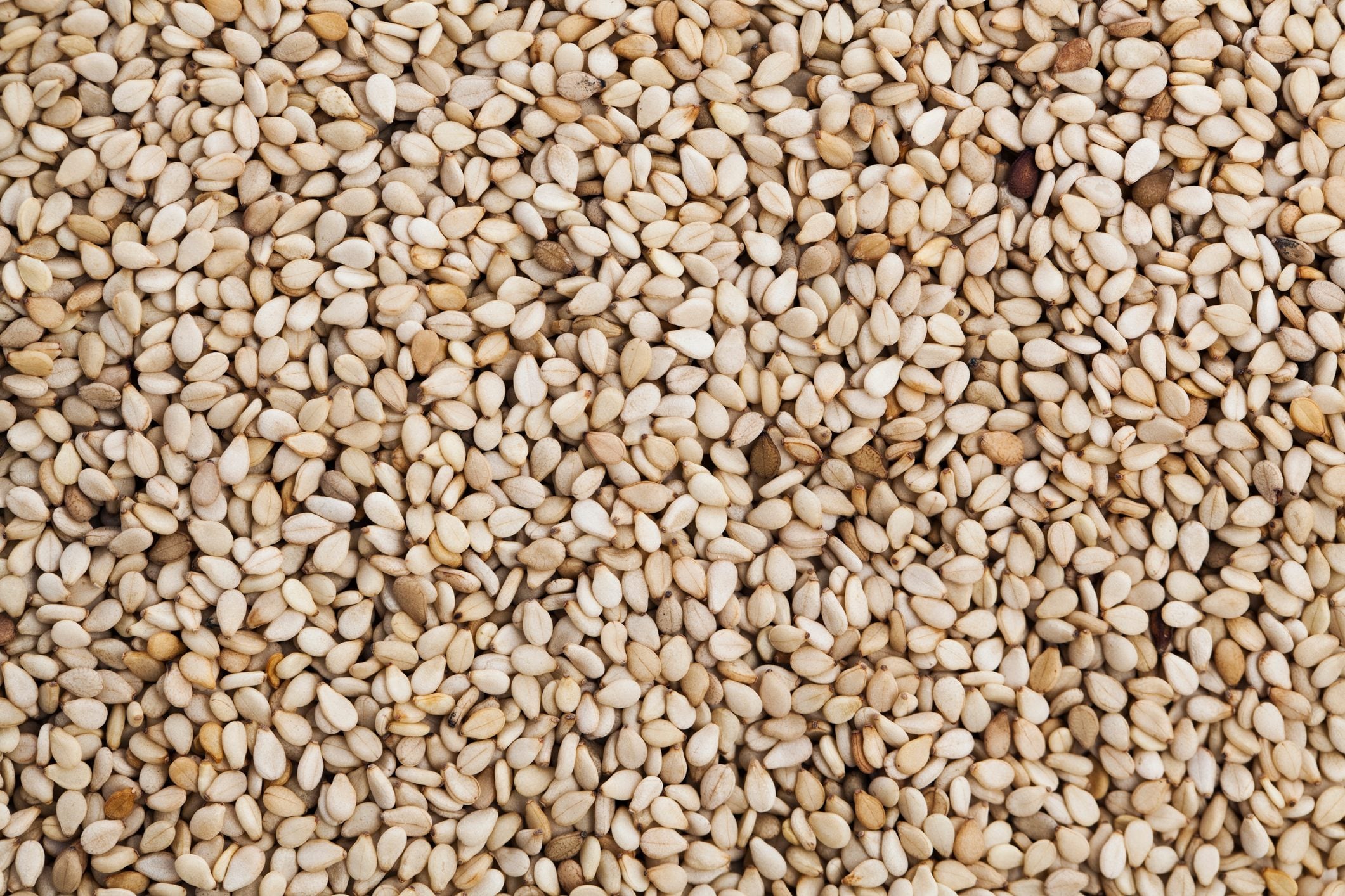 <p>Sesame</p>
