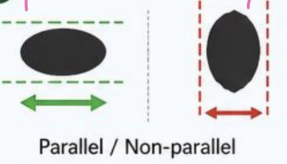 <p>Which orientation is benign/malignant</p>