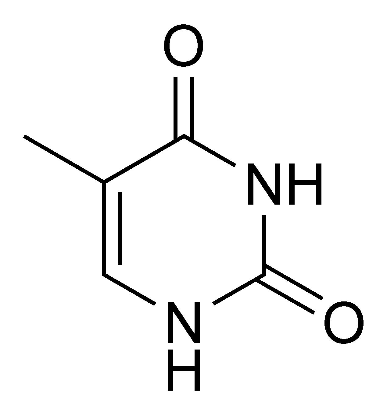 <p>Is thymine a purine or pyrimidine base?</p>