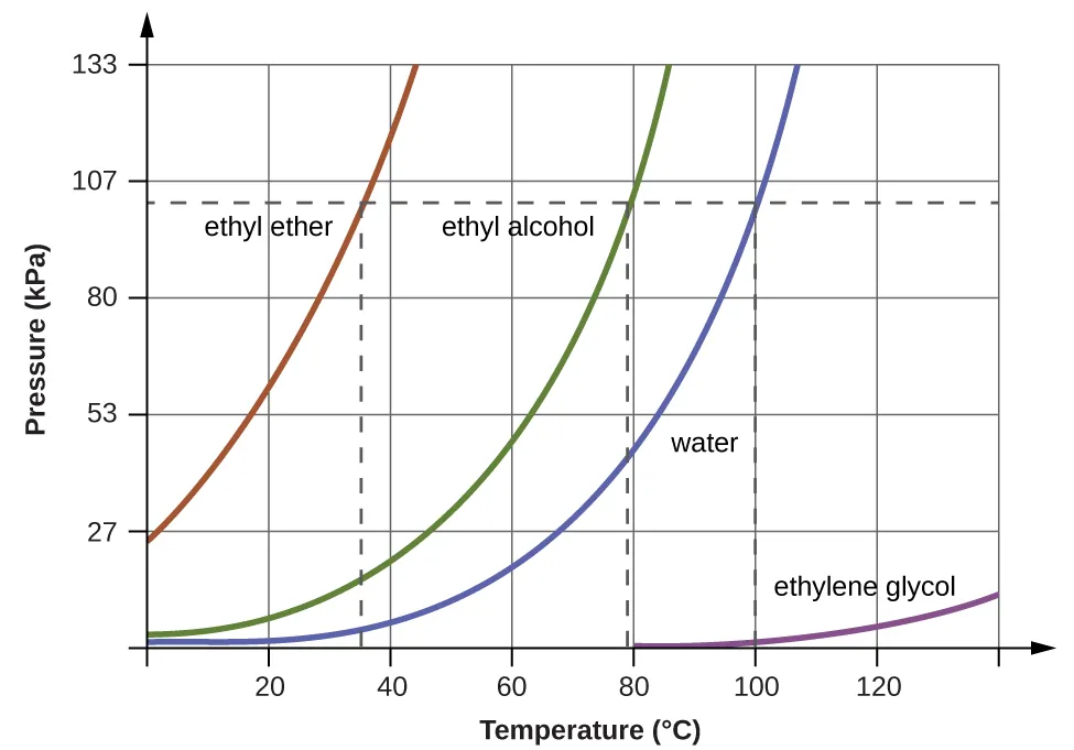 <p>What happens when the vapor pressure of a liquid equals the external atmospheric pressure?</p><p><br>&nbsp;</p><p>A. The liquid evaporates more slowly</p><p>B. The liquid reaches its boiling point</p><p>C. The liquid condenses</p><p>D. The liquid freezes</p>