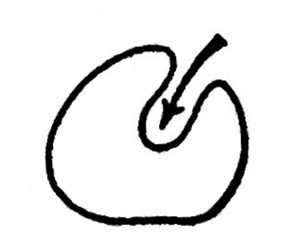 <p>Invagination</p>