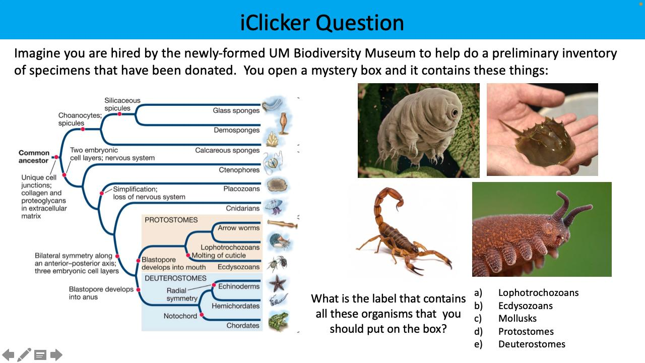 <p>Imagine you are hired by the newly-formed UM Biodiversity Museum to help do a preliminary inventory of specimens that have been donated. You open a mystery box and it contains these things. What is the label that contains all these organisms that you should put on the box?</p>