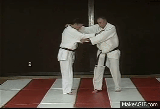 <p>Inner thigh reaping throw </p>