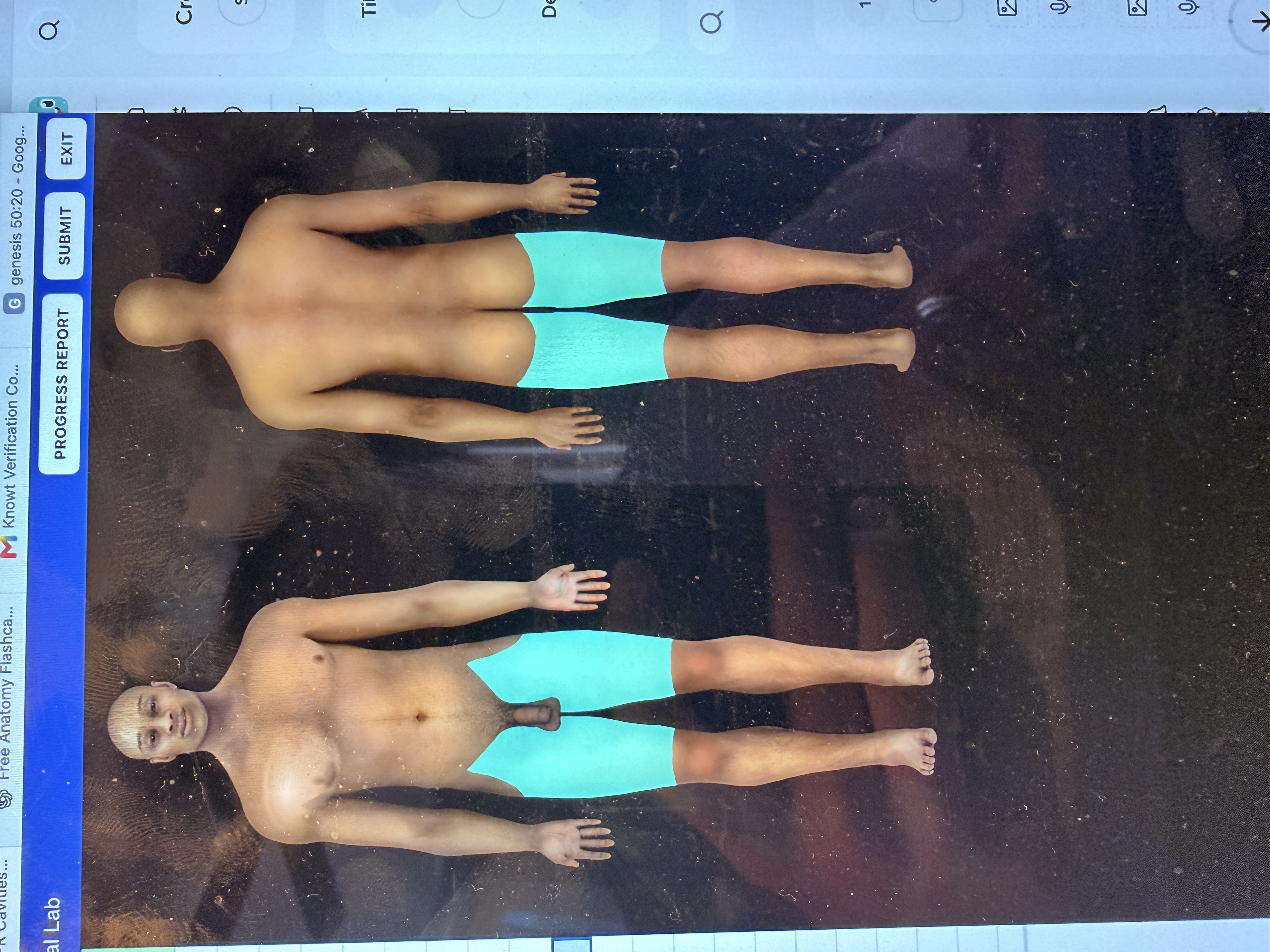 knowt flashcard image