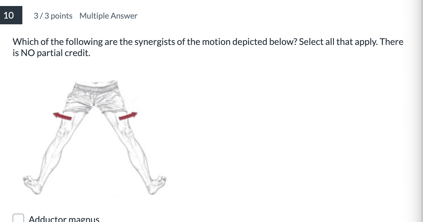 <p><span>Which of the following are the synergists of the motion depicted below? Select all that apply.</span></p>