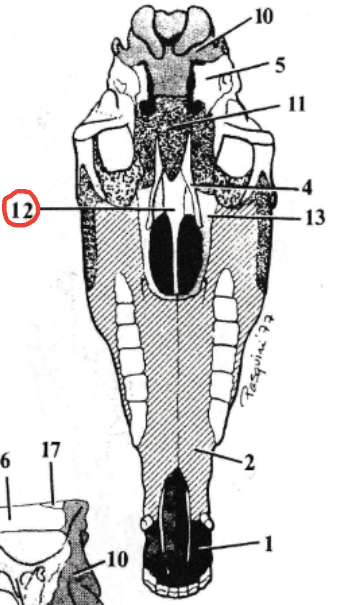 <p>What is 12</p>