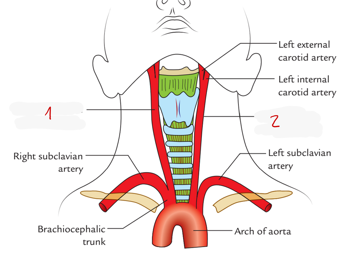 <p>2? </p>