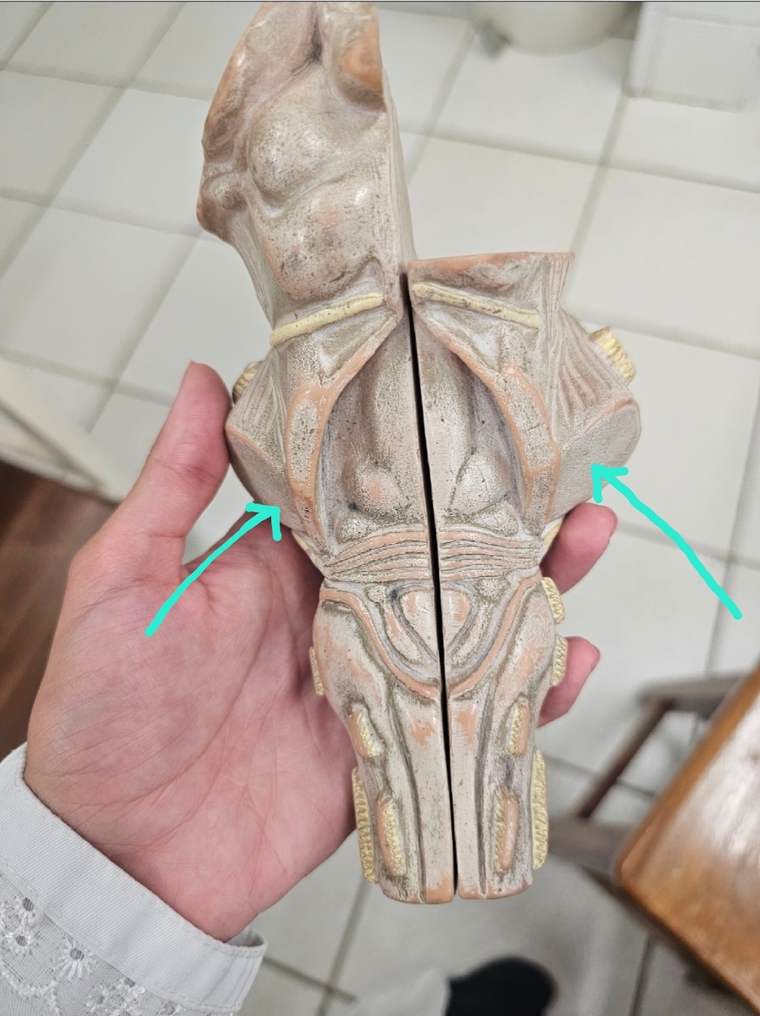<p>Qual é o nome?</p>