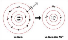 <p>The gravitational force acting on an object of a given mass.</p>