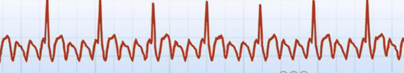 <p>What is this?</p>